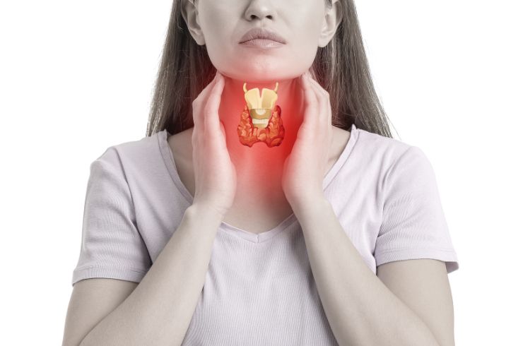 Thyroid Profile